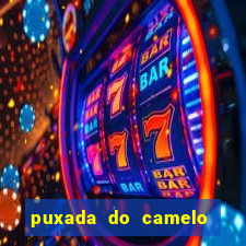 puxada do camelo no jogo do bicho